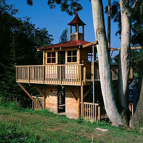 TREE_HOUSE_BUILT_BY_ANGUS_WHITE_ARCHITECTURAL_PLANTS__SUSSEX
