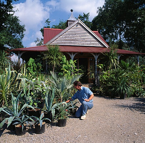 ANGUS_WHITE_AT_THE_ENTRANCE_TO_HIS_OFFICE_WITH_POTS_OF_AGAVE_AMERICANA_ARCHITECTURAL_PLANTS__SUSSEX