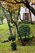 THE PRIORY OF SAINT-SYMPHORIEN  LUBERON  FRANCE  AUTUMN. WOODLAND  LAWN AND STEPS UP TO PRIORY