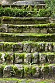 THE PRIORY OF SAINT-SYMPHORIEN  LUBERON  FRANCE  AUTUMN. STONE STEPS LEADING UP TO THE PRIORY COVERED IN MOSS