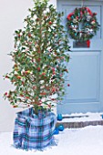 HIGHFIELD HOLLIES  HAMPSHIRE. WREATH BY SEASONSFLOWERS.CO.UK - FRONT DOOR WITH ILEX AQUIFOLIUM SIBERIA IN CONTAINER WRAPPED WITH TARTAN. SNOW  WINTER