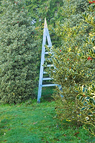 HIGHFIELD_HOLLIES__HAMPSHIRE__BLUE_WOODEN_TRIPOD_AND_HOLLIES__ILEX_ALTACLERENSIS_BELGICA_AUREA_IN_FO