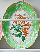 DESIGNER BUTTER WAKEFIELD  LONDON - THE CONSERVATORY - PLATE IN CUPBOARD ON WALL
