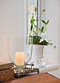 DESIGNER: JACKY HOBBS  LONDON: CHRISTMAS TABLE SETTING WITH CANDLES AND WHITE PAINTED CONTAINER WITH CYCLAMEN