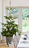 DESIGNER: JACKY HOBBS  LONDON: DINING ROOM AT CHRISTMAS - TABLE SETTING WITH CANDLES AND WHITE PAINTED CONTAINERS WITH CYCLAMEN. CHRISTMAS TREE