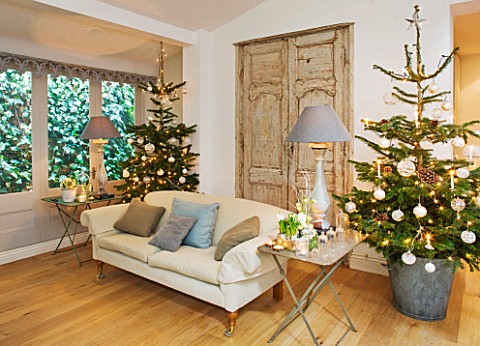 DESIGNER_JACKY_HOBBS__LONDON_LIVING_ROOM_AT_CHRISTMAS__SOFA__FAUX_FRENCH_DOORS__CHRISTMAS_TREES