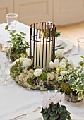 DESIGNER: JACKY HOBBS  LONDON - CHRISTMAS - DINING TABLE DECORATED WITH METAL CANDLE HOLDER  IVY  ROSES AND CYCLAMEN