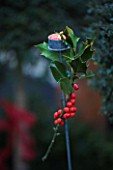 DESIGNER: JACKY HOBBS  LONDON: CANDLE HOLDER OUTSIDE WITH HOLLY DECORATION - CHRISTMAS