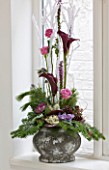 DESIGNER: JACKY HOBBS  LONDON: THE DINING ROOM AT CHRISTMAS WITH DISPLAY OF FLOWERS IN CONTAINER IN WINDOWSILL