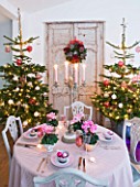 DESIGNER: JACKY HOBBS  LONDON: THE LIVING ROOM AT CHRISTMAS WITH DOOR  WREATH AND TWO CHRISTMAS TREES WITH TABLE SET WITH PINK CYCLAMEN IN CONTAINERS