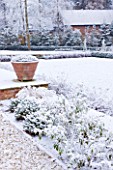 FORMAL TOWN GARDEN IN SNOW  OXFORD  WINTER: DESIGN BY LIZ NICHOLSON - TERRACE WITH ITALIAN TERRACOTTA CONTAINERSPLANTED WITH LAVANDULA AUGUSTIFOLIA HIDCOTE AND FORMAL LAWN