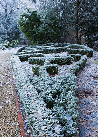 FORMAL_TOWN_GARDEN_IN_SNOW__OXFORD__WINTER_DESIGN_BY_LIZ_NICHOLSON__BOX_HEDGING_IN_THE_SHAPE_OF_A_LE