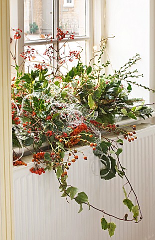 BRUERN_COTTAGES__OXFORDSHIRE_CHRISTMAS__WINDOW_DECORATION_MADE_WITH_HIPS_ETC_FROM_THE_GARDEN_BY_COLI