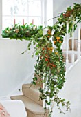 BRUERN COTTAGES  OXFORDSHIRE: CHRISTMAS - THE PAINTED WOODEN STAIRCASE DECORATED WITH FRESH  EVERGREEN FOLIAGE AND WINTER BERRIES FROM THE GARDEN