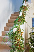 BRUERN COTTAGES  OXFORDSHIRE: CHRISTMAS - THE PAINTED WOODEN STAIRCASE DECORATED WITH FRESH  EVERGREEN FOLIAGE AND WINTER BERRIES FROM THE GARDEN