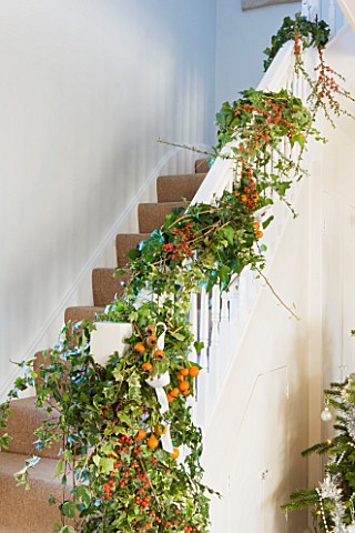 BRUERN_COTTAGES__OXFORDSHIRE_CHRISTMAS__THE_PAINTED_WOODEN_STAIRCASE_DECORATED_WITH_FRESH__EVERGREEN