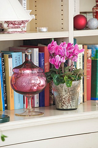 BRUERN_COTTAGES__OXFORDSHIRE_CHRISTMAS__THE_LIVING_ROOM__BOOKCASE_WITH_CYCLAMEN_IN_CONTAINER_AND_CRA