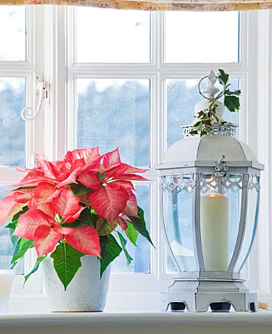 BRUERN_COTTAGES__OXFORDSHIRE_CHRISTMAS__BATHROOM_WITH_POINSETTIA_AND_CANDLE_HOLDER