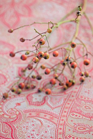 BRUERN_COTTAGES__OXFORDSHIRE_CHRISTMAS__THE_LIVING_ROOM__BERRY_DECORATION_ON_FABRIC