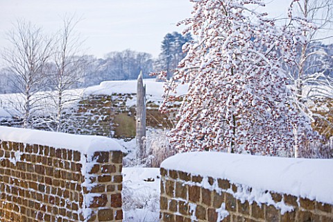 RICKYARD_BARN__NORTHAMPTONSHIRE_THE_GARDEN_IN_SNOW_WITH_WOODEN_NEEDLE__WALLS_AND_MALUS_RED_SENTINEL