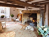 DESIGNER CAROLYN MINTY  GLOUCESTERSHIRE - THE SITTING ROOM WITH THE TWO DOGS  TOPSY AND TULA  FIREPLACE
