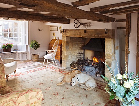 DESIGNER_CAROLYN_MINTY__GLOUCESTERSHIRE__THE_SITTING_ROOM_WITH_THE_TWO_DOGS__TOPSY_AND_TULA__FIREPLA
