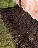 DESIGNER: CLARE MATTHEWS: PLANTING A BAREROOT RASPBERRY CANE FRUIT BUSH - PREPARING SOIL BED BY DIGGING A TRENCH