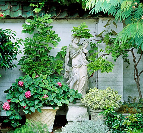 STATUE_SUROUNDED_BY_WISTERIA__HYDRANGEA_AMI_PASQUIER__LAVENDER_LANATA_AND_VARIEGATED_HEBE_OSLER_RD__