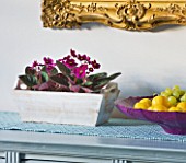 DESIGNER: CLARE MATTHEWS: HOUSEPLANT PROJECT - AFRICAN VIOLETS IN A WOODEN CONTAINER ON SIDEBOARD WITH GRAPES AND PLUMS IN GLASS CONTAINER