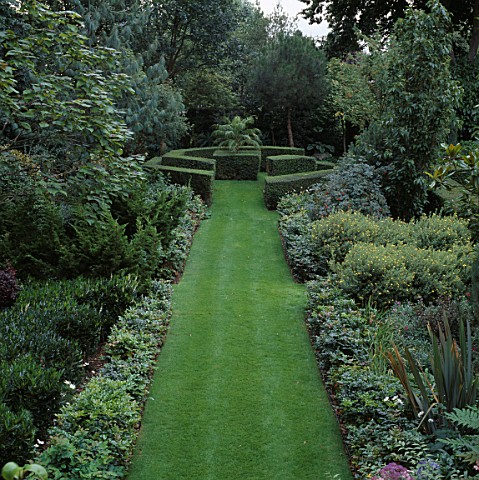 LONG_GRASS_PATH_LEADS_TO_OCTAGONAL_MOUNT_WITH_CLIPPED_LONICERA_HEDGE_SURROUNDING_PHOENIX__ROEBELENII