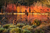 RHS GARDEN WISLEY  SURREY: VIEW ACROSS THE LAKE WITH WICKER SCULPTURE  CAREX ASHIMENSIS EVERGOLD  NADINA DOMESTICA FIRE POWER AND CORNUS IN BACKGROUND. WINTER  JANUARY