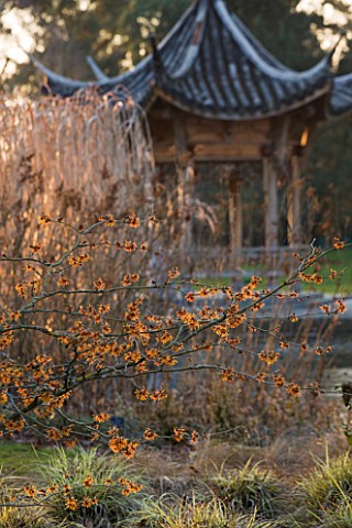 RHS_GARDEN_WISLEY__SURREY__EVENING_VIEW_ACROSS_THE_LAKE_AT_SEVEN_ACRES_TO_THE_CHINESE_PAGODA_WITH_HA