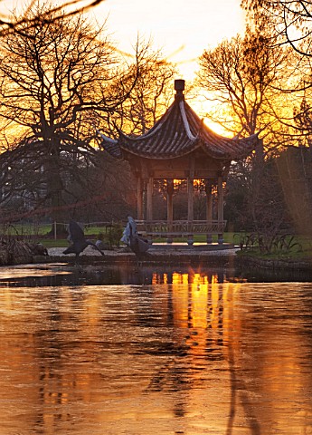 RHS_GARDEN_WISLEY__SURREY__EVENING_VIEW_OF_SEVEN_ACRES_ACROSS_THE_LAKE_TO_THE_CHINESE_PAGODA_WINTER_
