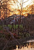 RHS GARDEN WISLEY  SURREY:  EVENING VIEW OF SEVEN ACRES ACROSS THE LAKE TO THE GLASSHOUSES. WINTER  JANUARY