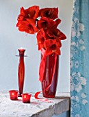 RED CONTAINER WITH AMARYLLIS IN BLUE BEDROOM - AMARYLLIS HIPPEASTRUM - RED LION - STYLING BY JACKY HOBBS