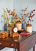 HAMAMELIS ANNE  COOMBE WOOD  JAPONICA VAR MEGALOPHYLLA  ANGELLY  APHRODITE  GINGERBREAD  GLOWING EMBERS  RUBIN  FOXY LADY  MAGIC FIRE  IN STONE JARS ON TABLE
