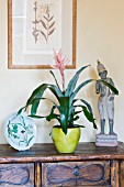 DESIGNER CLARE MATTHEWS - HOUSEPLANT PROJECT - GREEN CONTAINER PLANTED WITH THE BROMELIAD - AECHMEA