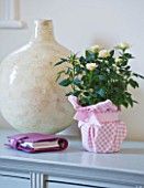 DESIGNER CLARE MATTHEWS - HOUSEPLANT PROJECT - PINK CHECKED CONTAINER WITH WHITE ROSE ON SIDEBOARD