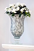 DESIGNER CLARE MATTHEWS - HOUSEPLANT PROJECT - GREY SILVER CONTAINER PLANTED WITH A WHITE AZALEA