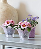 DESIGNER CLARE MATTHEWS - HOUSEPLANT PROJECT - PURPLE CONTAINER WITH ANEMONE BLANDA AND PALE PINK GLASS CONTAINERS WITH PINK PRIMULAS ON SIDEBOARD