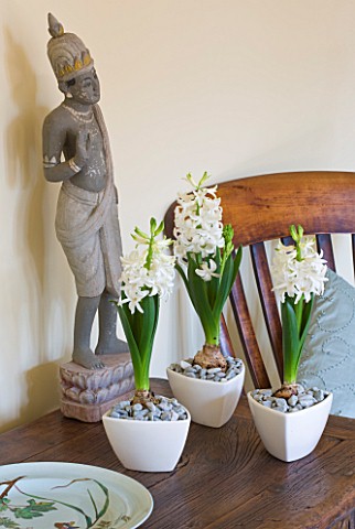 DESIGNER_CLARE_MATTHEWS__HOUSEPLANT_PROJECT__WHITE_CONTAINERS_PLANTED_WITH_WHITE_HYACINTHS_ON_SIDEBO