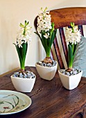 DESIGNER CLARE MATTHEWS - HOUSEPLANT PROJECT - WHITE CONTAINERS PLANTED WITH WHITE HYACINTHS ON SIDEBOARD IN LIVING ROOM