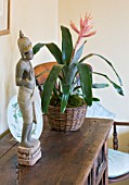 DESIGNER CLARE MATTHEWS - HOUSEPLANT PROJECT - WICKER CONTAINER/ BASKET PLANTED WITH AECHMEA ON SIDEBOARD IN LIVING ROOM