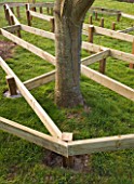 DECK PROJECT  DEVON - DESIGNER: CLARE MATTHEWS - WOODEN JOISTS FOR CIRCULAR DECK AROUND TREE