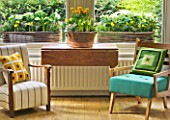 DESIGNER: KALLY ELLIS  LONDON: LIVING ROOM - ARMCHAIRS WITH DISPLAY OF SPRING FLOWERS AND RUSTIC WINDOWBOXES BEHIND