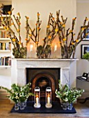 DESIGNER: KALLY ELLIS  LONDON: FIREPLACE WITH DISPLAYS OF SPIRAEA BRANCHES IN GLASS JARS WITH HURRICANE LAMPS. SILVER BIRCH BRANCHES WITH RANUNCULUS FLOWERS