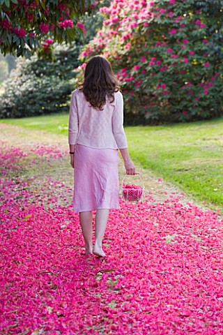 TREGOTHNAN__CORNWALL_GIRL_WALKING_WITH_TRUG_FILLED_WITH_FLOWERS_OF_RHODODENDRON_RUSSELLIANUM