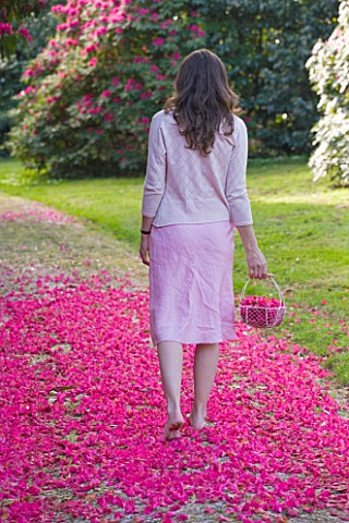 TREGOTHNAN__CORNWALL_GIRL_WALKING_WITH_TRUG_FILLED_WITH_FLOWERS_OF_RHODODENDRON_RUSSELLIANUM