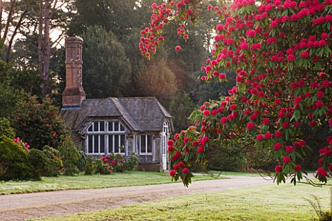 TREGOTHNAN__CORNWALL__THE_SUMMERHOUSE_WITH_RHODODENDRON_CORNISH_RED