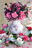 TREGOTHNAN  CORNWALL: CAMELLIAS IN VINTAGE TEA CUPS - STYLING BY JACKY HOBBS - HEATHER AND CAMELLIA INSPIRATION    TRICOLOR  LAURA BOSCAWEN  AKASHIGATA  MERCURY